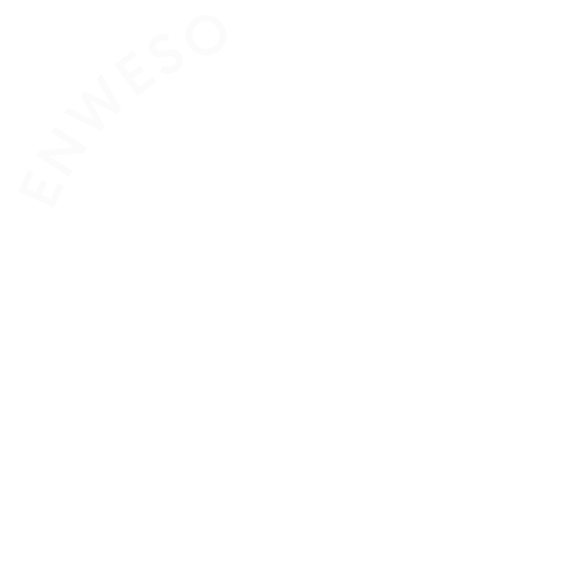 Logo_Enweso_White